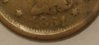 date close up.JPG