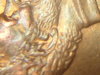 DSC03525.JPG