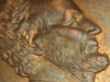 DSC03530.JPG