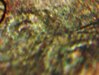100_2738 32.jpg