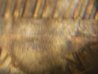 100_2747.jpg
