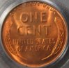 1949-D PCGS Ra.JPG