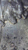 8818CA8B-4F6E-4615-9696-4C91AD9B4139.jpeg