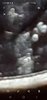 Screenshot.1 20200613-221956_Gallery.jpg