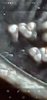 Screenshot.4 _20200613-230313_Gallery.jpg