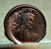 Penny - 3.jpg