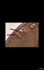 Screenshot_20200625-230204.jpg