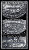 1964-D_Type_A___C_Quarters.jpg