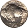 1929 S 5c PCGSMS66 Rev JPG.jpg