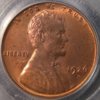 1926-D PCGS O.JPG