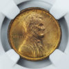 1909vdb1.jpg