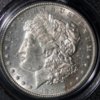 1895S-OBV (2) - Copy.jpg