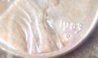 l 002.jpg