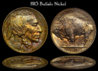 1913_Buffalo_Nickel.jpg