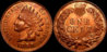 1898cent2.jpg