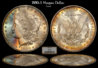 1880S_Morgan_Dollar.jpg