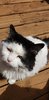 20200612_140042.jpg