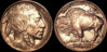 1913_a.jpg