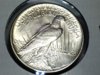 1921 Peace Dollar Raw AU 004.jpg