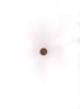 Scan.jpg