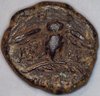 Pergamon Owl MAShops. saeen 4.8.20 rev.jpg