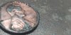 20200804_170321.jpg