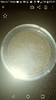 Screenshot_2020-08-05-02-13-29.png