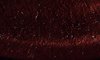200807212906381 (2).jpg