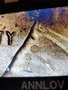 20200813_190626.jpg