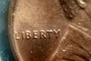 20200814_022207.jpg
