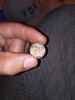 20200815_082430.jpg