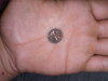 20200815_075037.jpg