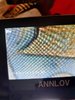 1597597269285807961281627514744.jpg