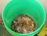 bucket.jpg