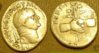 vespasian_silver-denarius_clasped-hands-caduceus-poppies-wheat_obv_09_rev_08_95%.JPG