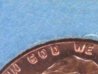 DSCF5342.jpg