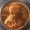 1929- PCGS c O.JPG