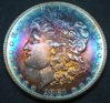 1881SRainbowMorganObv.jpg