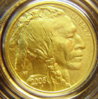 2008-W Buffalo.jpg