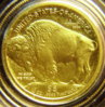 2008-W Buffalo rev.jpg