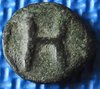 DSCN4615.JPG