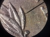 20190621_121348.jpg