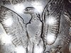 S20200823_0046.jpg