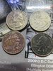 Gr A dam quarters.JPG