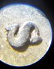 20200825_184205.jpg