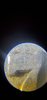 20200827_121717.jpg