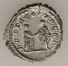 Plautilla r.jpg