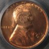 1929-D PCGS 64a O.JPG
