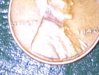 IMG_20110614_030252.jpg
