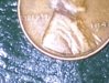 IMG_20110614_030257.jpg